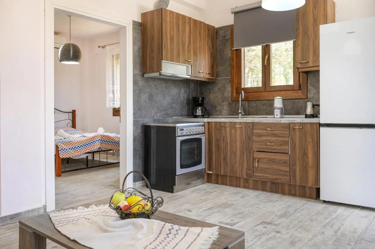 Danai House 3 Appartement Nea Roda Griekenland